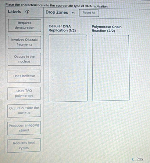 Solved: Place the characteristics into the appropriate type of DNA ...