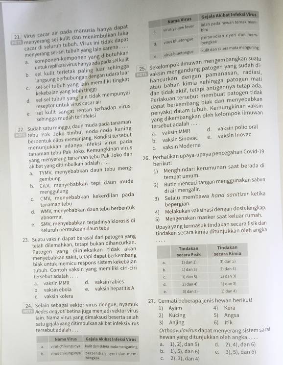 Virus cacar air pada manusia hanya dapat
menyerang sel kulit dan menimbulkan luka
cacar di seluruh tubuh. Virus ini tidak dapat
menyerang sel-sel tubuh yang lain karena . . . .
a. komponen-komponen yang dibutuhkan
untuk replikasi virus hanya ada pada sel kulit
b. sel kulit terletak paling luar sehingga 25. Sekelompok ilmuwan me
c. sel-sel tubuh yang lain memiliki tingkat vaksin mengandung patogen yang sudah di-
langsung berhubungan dengan udara luar
atau bahan kimia sehingga patogen mati
kekebalan yang lebin tinggi hancurkan dengan pamanasan, radiasi.
d. sel-sel tubuh yang lain tidak mempunyai dan tidak aktif, tetapi antigennya tetap ada
reseptor untuk virus cacar air Perlakuan tersebut membuat patogen tidak
e. sel kulit sangat rentan terhadap virus dapat berkembang biak dan menyebabkan
sehingga mudah terinfeksi penyakit dalam tubuh. Kemungkinan vaksin
22. Sudah satu minggu, daun muda pada tanaman yang dikembangkan oleh kelompok ilmuwan
tebu Pak Joko timbul noda-noda kuning tersebut adalah . . . .
berbentuk elips memanjang. Kondisi tersebut a. vaksin MMR d. vaksin polio oral
menunjukkan adanya infeksi virus pada b. vaksin Sinovac e. vaksin Inovac
tanaman tebu Pak Joko. Kemungkinan virus c. vaksin Moderna
yang menyerang tanaman tebu Pak Joko dan 26. Perhatikan upaya-upaya pencegahan Covid-19
akibat yang ditimbulkan adalah . . . . berikut!
a. TYMV, menyebabkan daun tebu meng- 1) Menghindari kerumunan saat berada di
gembung
tempat umum.
b. CiLV, menyebabkan tepi daun muda 2) Rutin mencuci tangan menggunakan sabun
menggulung
c. CMV, menyebabkan kekerdilan pada di air mengalir.
tanaman tebu 3) Selalu membawa hand sɑnitizer ketika
d. WMV, menyebabkan daun tebu berbentuk bepergian.
abnormal 4) Melakukan vaksinasi dengan dosis lengkap.
e. SMV, menyebabkan terjadinya klorosis di 5) Mengenakan masker saat keluar rumah.
seluruh permukaan daun tebu Upaya yang termasuk tindakan secara fisik dan
23. Suatu vaksin dapat berasal dari patogen yang tindakan secara kimia ditunjukkan oleh angka
telah dilemahkan, tetapi bukan dihancurkan.
Patogen yang diinjeksikan tidak akan
menyebabkan sakit, tetapi dapat berkembang
biak untuk memicu respons sistem kekebalan
tubuh. Contoh vaksin yang memiliki ciri-ciri
tersebut adalah . . . . 
a. vaksin MMR d. vaksin rabies 
b. vaksin ebola e. vaksin hepatitis A
c. vaksin kolera 
24. Selain sebagai vektor virus dengue, nyamuk 27. Cermati beberapa jenis hewan berikut!
Aedes œegyptí betina juga menjadi vektor virus 2) Kucing 1) Ayam 4) Kera 5) Angsa
lain. Nama virus yang dimaksud beserta salah
satu gejala yang ditimbulkan akibat infeksi virus 3) Anjing 6) Itik
tersebut adalah . . . . Orthoovulovirus dapat menyerang sistem saraf
hewan yang ditunjukkan oleh angka . . . .
b. 1), 5), dan 6) a. 1), 2), dan 5) d. 2), 4), dan 6)
e. 3), 5), dan 6)
c. 2), 3), dan 4)