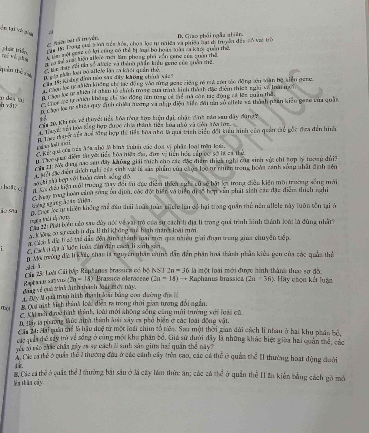 ồn tại và phát 43
C. Phiêu bạt di truyền.
D. Giao phối ngẫu nhiên.
1 phát triển.  Câu 18: Trong quá trình tiến hóa, chọn lọc tự nhiên và phiêu bạt di truyền đều có vai trò
tại và phát
A làm một gene có lợi cũng có thể bị loại bỏ hoàn toàn ra khỏi quần thể.
B có thể xuất hiện allele mới làm phong phú vốn gene của quần thể.
C. làm thay đồi tần số allele và thành phần kiểu gene của quần thể.
quần thể sinh
D. góp phần loại bỏ allele lặn ra khỏi quần thể.
Câu 19: Khẳng định nào sau đây không chính xác?
A. Chọn lọc tự nhiên không chỉ tác động vào từng gene riêng rẽ mà còn tác động lên toàn bộ kiểu gene.
m den thì
B. Chọn lọc tự nhiên là nhân tố chính trong quá trình hình thành đặc điểm thích nghi và loài mới.
h vật? C. Chọn lọc tự nhiên không chỉ tác động lên từng cá thể mà còn tác động cả lên quần thể.
D. Chọn lọc tự nhiên quy định chiều hướng và nhịp điệu biến đổi tần số allele và thành phần kiểu gene của quần
thể.
Cầu 20. Khi nói về thuyết tiến hóa tổng hợp hiện đại, nhận định nào sau đây đúng?
A. Thuyết tiến hóa tổng hợp được chia thành tiến hóa nhỏ và tiến hóa lớn.
B. Theo thuyết tiến hoá tổng hợp thì tiến hóa nhỏ là quá trình biến đổi kiểu hình của quần thể gốc đưa đến hình
thành loài mới.
C. Kết quả của tiển hóa nhỏ là hình thành các đơn vị phân loại trên loài.
D. Theo quan điểm thuyết tiến hóa hiện đại, đơn vị tiển hóa cấp cơ sở là cá thể.
Câu 21: Nội dung nào sau đây không giải thích cho các đặc điểm thích nghi của sinh vật chỉ hợp lý tương đối?
A. Mỗi đặc điểm thích nghi của sinh vật là sản phầm của chọn lọc tự nhiên trong hoàn cảnh sống nhất định nên
nó chi phù hợp với hoàn cảnh sống đó.
hoặc có B. Khi điều kiện môi trường thay đổi thì đặc điểm thích nghi cũ sẽ bất lợi trong điều kiện môi trường sống mới.
C. Ngay trong hoàn cảnh sống ổn định, các đột biến và biển dị tổ hợp vẫn phát sinh các đặc điểm thích nghi
không ngừng hoàn thiện.
ào sau D. Chọn lọc tự nhiên không thể đào thái hoàn toàn allele lặn có hại trong quần thể nên allele này luôn tồn tại ở
trạng thái dị hợp.
Cầu 22: Phát biểu nào sau đây nói về vai trò của sự cách li địa lí trong quá trình hình thành loài là đúng nhất?
A. Không có sự cách li địa lí thì không thể hình thành loài mới.
B. Cách li địa lí có thể dẫn đến hình thành loài mới qua nhiều giai đoạn trung gian chuyển tiếp.
i. C. Cách lí địa lí luôn luôn dẫn đến cách li sinh sản.
D. Môi trường địa lí khác nhau là nguyên nhân chính dẫn đến phân hoá thành phần kiểu gen của các quần thể
cách li.
Câu 23: Loài Cải bắp Raphanus brassica có bộ NST 2n=36 là một loài mới được hình thành theo sơ đồ:
Raphanus sativus (2n=18) Brassica oleraceae (2n=18) → Raphanus brassica (2n=36).  Hãy chọn kết luận
đúng về quá trình hình thành loài mới này.
A. Đây là quá trình hình thành loài bằng con đường địa lí.
một B. Quá trình hình thành loài diễn ra trong thời gian tương đối ngắn.
C. Khi mới được hình thành, loài mới không sống cùng môi trường với loài cũ.
D. Đây là phương thức hình thành loài xảy ra phổ biển ở các loài động vật.
Câu 24: Hai quần thể là hậu duệ từ một loài chim tổ tiên. Sau một thời gian dài cách li nhau ở hai khu phân bố.
các quần thể này trở về sống ở cùng một khu phân bố. Giả sử dưới đây là những khác biệt giữa hai quần thể, các
yếu tổ nào chắc chắn gây ra sự cách li sinh sản giữa hai quần thể này?
Á. Các cá thể ở quần thể I thường đậu ở các cảnh cây trên cao, các cá thể ở quần thể II thường hoạt động dưới
đất.
B. Các cá thể ở quần thể I thường bắt sâu ở lá cây làm thức ăn; các cá thể ở quần thể II ăn kiến bằng cách gõ mỏ
lên thân cây.