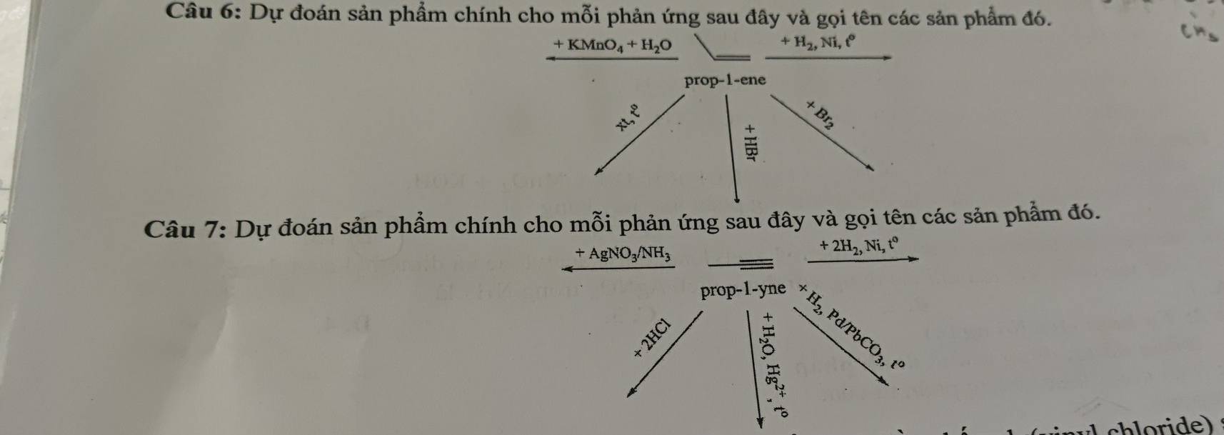 Dự đoán sản phẩm chính cho mỗi phản ứng sau đây và gọi tên các sản phẩm đó.
+KMnO_4+H_2O
+H_2,Ni,e^o
pro p-1-en a
4x^2
beginarrayr x yendarray  x/3 endarray

Câu 7: Dự đoán sản phẩm chính cho mỗi phản ứng sau đây và gọi tên các sản phẩm đó.
+AgNO_3/NH_3
+2H_2, Ni, t^0
prop-1-yne 
Phi Pd/PbCO_3, t^o
c l ri de)