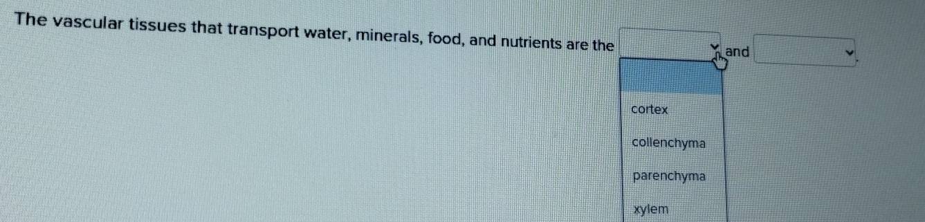 The vascular tissues that transport water, minerals, food, and nutrients are the □° and □ ,
cortex
collenchyma
parenchyma
xylem