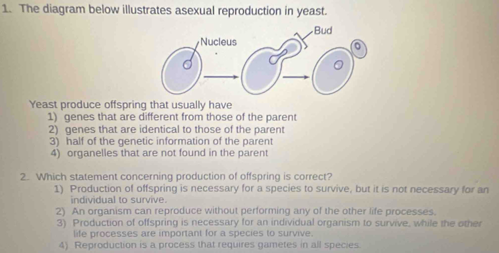 Solved: The diagram below illustrates asexual reproduction in yeast ...
