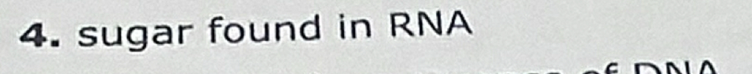 sugar found in RNA