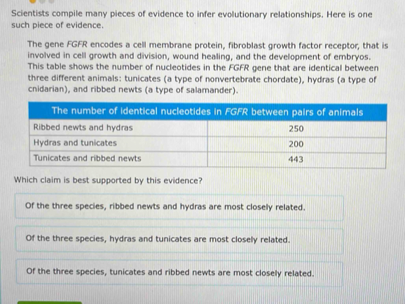 Scientists compile many pieces of evidence to infer evolutionary relationships. Here is one
such piece of evidence.
The gene FGFR encodes a cell membrane protein, fibroblast growth factor receptor, that is
involved in cell growth and division, wound healing, and the development of embryos.
This table shows the number of nucleotides in the FGFR gene that are identical between
three different animals: tunicates (a type of nonvertebrate chordate), hydras (a type of
cnidarian), and ribbed newts (a type of salamander).
Which claim is best supported by this evidence?
Of the three species, ribbed newts and hydras are most closely related.
Of the three species, hydras and tunicates are most closely related.
Of the three species, tunicates and ribbed newts are most closely related.