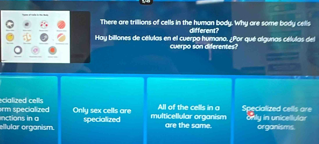 Prom of Carla in the Bah
There are trillions of cells in the human body. Why are some body cells
different?
Hay billones de células en el cuerpo humano. ¿Por qué algunas células del
cuerpo son diferentes?
ecialized cells
rm specialized Only sex cells are All of the cells in a Specialized cells are
nctions in a specialized multicellular organism only in unicellular
are the same.
ellular organism. organisms.