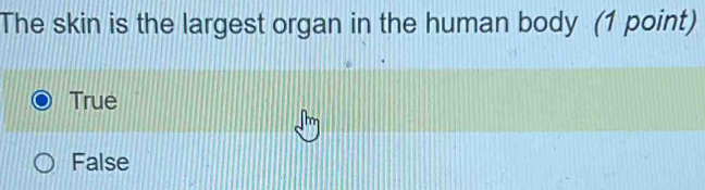 The skin is the largest organ in the human body (1 point)
True
False