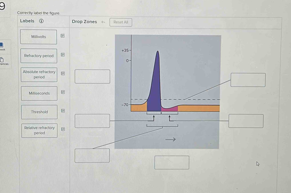Solved: Correctly label the figure. Labels ① Drop Zones Reset All ...