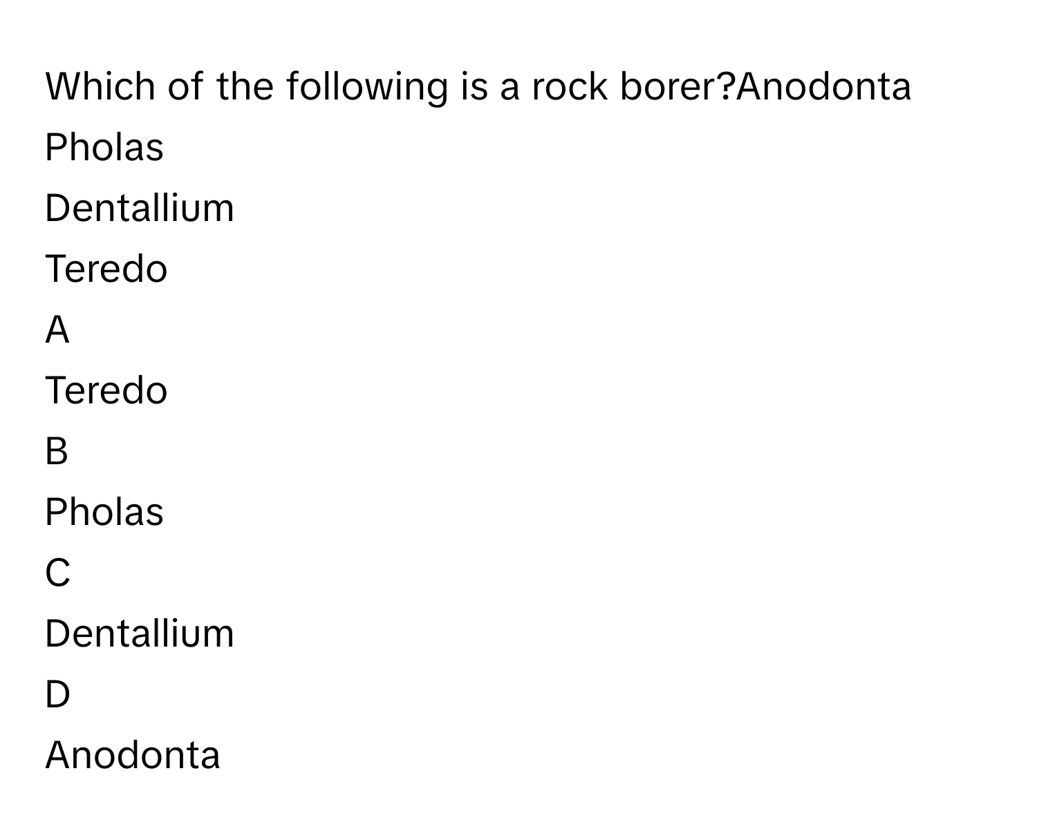 Which of the following is a rock borer?Anodonta
Pholas
Dentallium
Teredo

A  
Teredo 


B  
Pholas 


C  
Dentallium 


D  
Anodonta