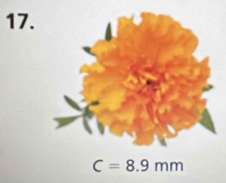 C=8.9mm