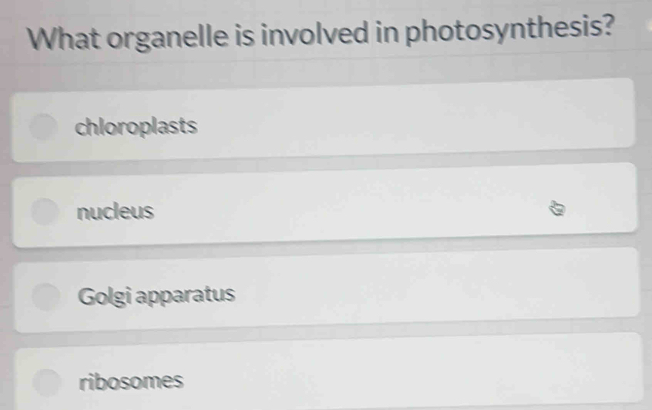 What organelle is involved in photosynthesis?
chloroplasts
nucleus
Golgi apparatus
ribosomes