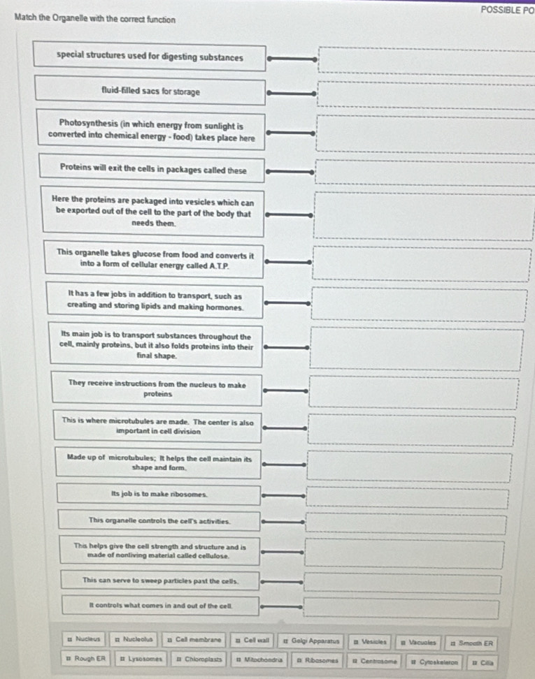 POSSIBLE PO
Match the Organelle with the correct function
special structures used for digesting substances □  
fluid-filled sacs for storage
Photosynthesis (in which energy from sunlight is
converted into chemical energy - food) takes place here
Proteins will exit the cells in packages called these
x_^2=□°
Here the proteins are packaged into vesicles which can □ 
be exported out of the cell to the part of the body that
needs them.
This organelle takes glucose from food and converts it □
into a form of cellular energy called A.T.P.
It has a few jobs in addition to transport, such as
creating and storing lipids and making hormones. □ 
Its main job is to transport substances throughout the
cell, mainly proteins, but it also folds proteins into their □ 
final shape.
They receive instructions from the nucleus to make □
proteins
This is where microtubules are made. The center is also □ 
important in cell division
Made up of microtubules; It helps the cell maintain its □ 
shape and form.
Its job is to make ribosomes.
□ 
This organelle controls the cell's activities. □ 
This helps give the cell strength and structure and is □ 
made of nonliving material called cellulose.
This can serve to sweep particles past the cells. □
It controls what comes in and out of the cell. □ 
# Nucleus ¤ Nucleolus 1 Cell membrane = Cell wall # Gelgi Apparatus ¤ Vesicles # Vacuoles 1 Smoath ER
# Rough ER # Lysosomes # Chioroplasts = Mitochondria # Ribasomes # Centrosome # Cytoskelaron u Cla