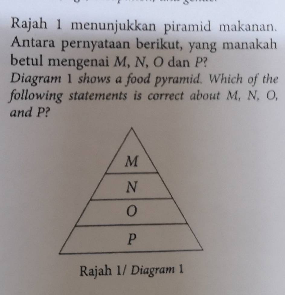 Rajah 1 menunjukkan piramid makanan.
Antara pernyataan berikut, yang manakah
betul mengenai M, N, O dan P?
Diagram 1 shows a food pyramid. Which of the
following statements is correct about M, N, O,
and P?
M
N
0
P
Rajah 1/ Diagram 1