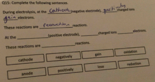 Complete the following sentences.
During electrolysis, at the _(negative electrode). _charged ions
_
electrons.
These reactions are _reactions
At the _(positive electrode), _charged ions_ electrons.
These reactions are _reactions.
cathode negatively gain oxidation
anode positively lose reduction