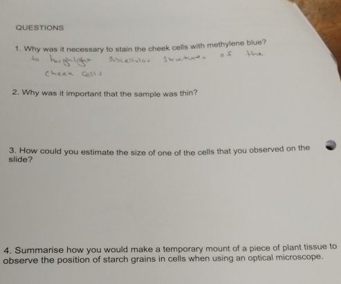 Why was it necessary to stain the cheek cells with methylene blue? 
2. Why was it important that the sample was thin? 
3. How could you estimate the size of one of the cells that you observed on the 
slide? 
4. Summarise how you would make a temporary mount of a piece of plant tissue to 
observe the position of starch grains in cells when using an optical microscope.