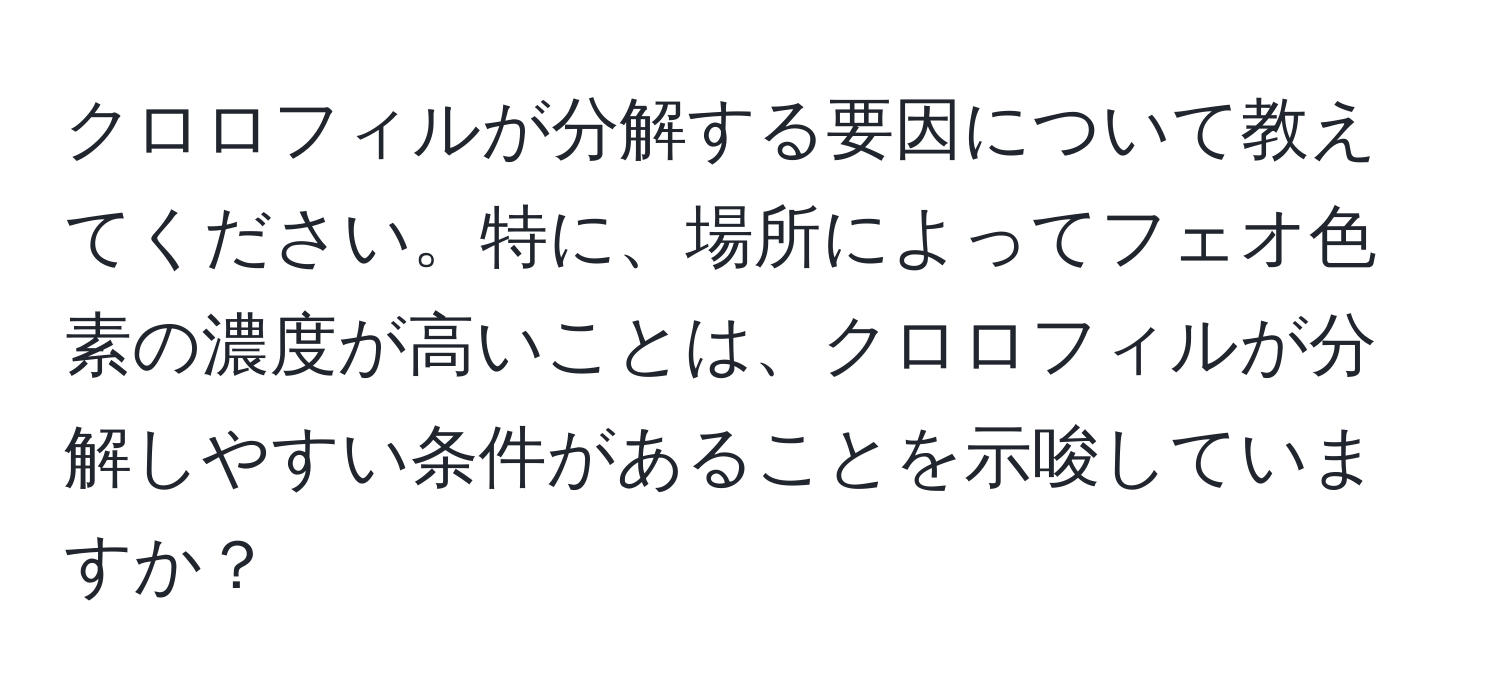 クロロフィルが分解する要因について教えてください。特に、場所によってフェオ色素の濃度が高いことは、クロロフィルが分解しやすい条件があることを示唆していますか？