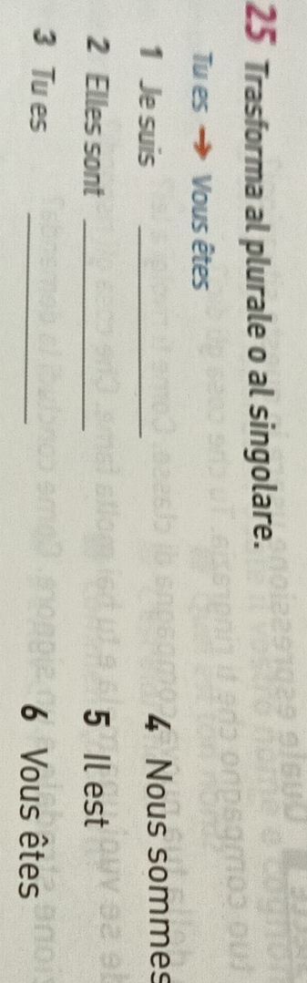 Trasforma al plurale o al singolare. 
Tu es → Vous êtes 
1 Je suis _ 4 Nous sommes 
2 Elles sont _ 5 Il est 
3 Tu es _ 6 Vous êtes