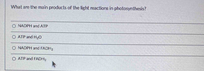 What are the main products of the light reactions in photosynthesis?