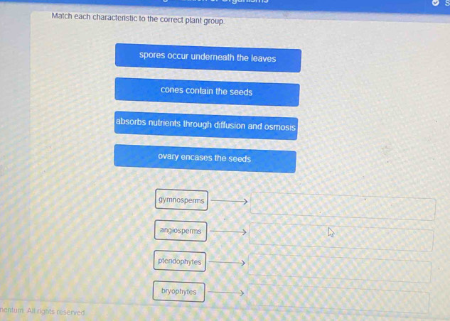 Match each characteristic to the correct plant group.
spores occur underneath the leaves
cones contain the seeds
absorbs nutrients through diffusion and osmosis
ovary encases the seeds
gymnosperms
angiosperms
ptendophytes
bryophytes
nenturn. All rights reserved