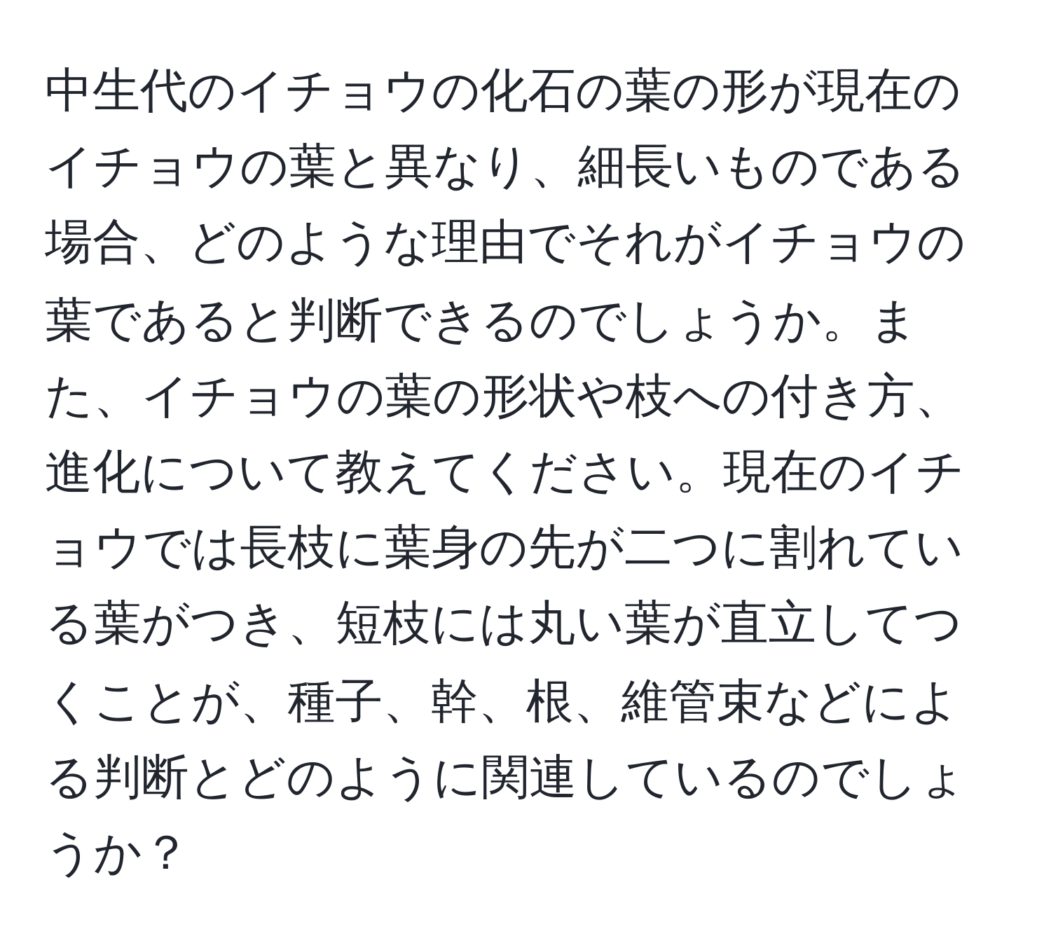 中生代のイチョウの化石の葉の形が現在のイチョウの葉と異なり、細長いものである場合、どのような理由でそれがイチョウの葉であると判断できるのでしょうか。また、イチョウの葉の形状や枝への付き方、進化について教えてください。現在のイチョウでは長枝に葉身の先が二つに割れている葉がつき、短枝には丸い葉が直立してつくことが、種子、幹、根、維管束などによる判断とどのように関連しているのでしょうか？