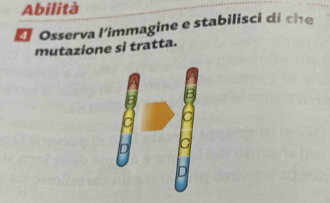 Abilità
* Osserva l'immagine e stabilisci di che
mutazione si tratta.
B
c
D c
D