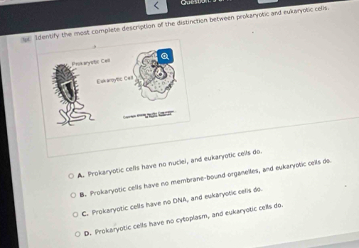 Question
entify the most complete description of the distinction between prokaryotic and eukaryotic cells.
A. Prokaryotic cells have no nuclei, and eukaryotic cells do.
B. Prokaryotic cells have no membrane-bound organelles, and eukaryotic cells do.
C. Prokaryotic cells have no DNA, and eukaryotic cells do.
D. Prokaryotic cells have no cytoplasm, and eukaryotic cells do.