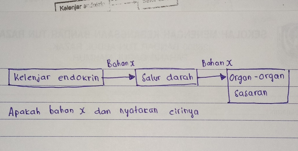 Kelenjar 
Bahan x Bahan X
Kelenjar endokrin Salur darah organ-organ 
Sasaran 
Apakah bahan x dan nyataran ciringa