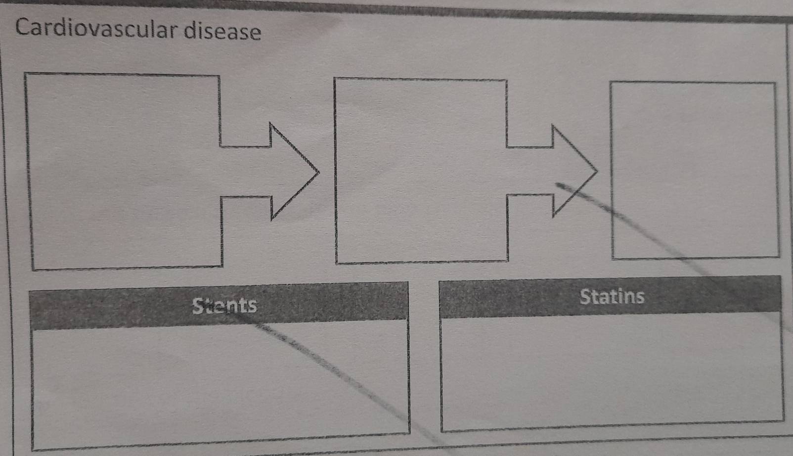 Cardiovascular disease 
Stents 
Statins