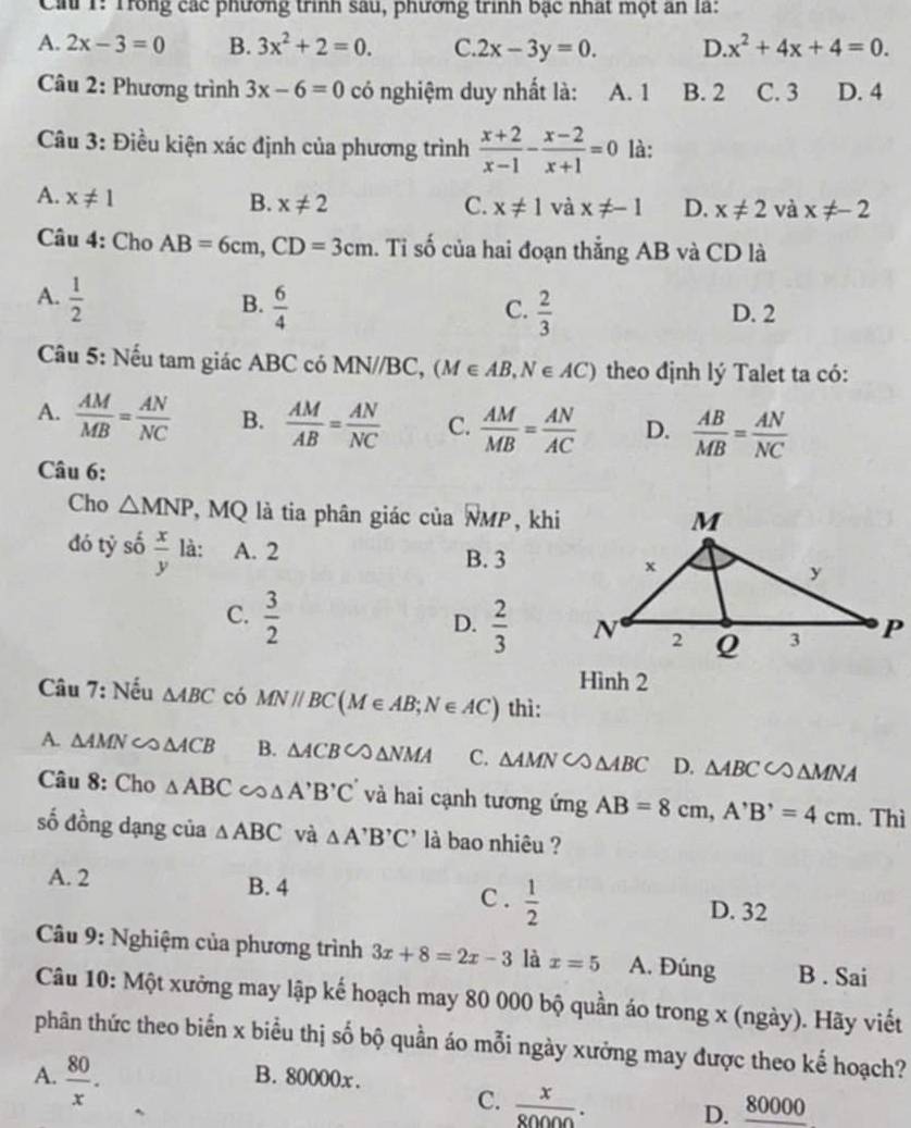 Că1: Tong các phương trình sau, phương trình bậc nhất một an là:
A. 2x-3=0 B. 3x^2+2=0. C. 2x-3y=0. D x^2+4x+4=0.
Câu 2: Phương trình 3x-6=0 có nghiệm duy nhất là: A. 1 B. 2 C. 3 D. 4
Câu 3: Điều kiện xác định của phương trình  (x+2)/x-1 - (x-2)/x+1 =0 là:
A. x!= 1 B. x!= 2 C. x!= 1 và x!= -1 D. x!= 2 và x!= -2
Câu 4: Cho AB=6cm,CD=3cm a. Tỉ số của hai đoạn thẳng AB và CD là
A.  1/2   6/4 
B.
C.  2/3  D. 2
Câu 5: Nếu tam giác ABC có MN//BC, (M∈ AB,N∈ AC) theo định lý Talet ta có:
A.  AM/MB = AN/NC  B.  AM/AB = AN/NC  C.  AM/MB = AN/AC  D.  AB/MB = AN/NC 
Câu 6:
Cho △ MNP , MQ là tia phân giác của overline NMP , khi
đó tỷ số  x/y  là: A. 2
B. 3
C.  3/2   2/3 
D.
Hình 2
Câu 7: Nếu △ ABC có MNparallel BC(M∈ AB;N∈ AC) thì:
A. ∆AMN ∽ △ ACB B. △ ACBCO△ NMA C. △ AMNC△ ABC D. △ ABC∽ △ MNA
Câu 8: Cho △ ABC ∽ △ A'B'C' và hai cạnh tương ứng AB=8cm,A'B'=4cm. Thì
số đồng dạng của △ ABC và △ A'B'C' là bao nhiêu ?
A. 2 B. 4 C .  1/2  D. 32
Câu 9: Nghiệm của phương trình 3x+8=2x-3 là x=5 A. Đúng B . Sai
Câu 10: Một xưởng may lập kế hoạch may 80 000 bộ quần áo trong x (ngày). Hãy viết
phân thức theo biển x biểu thị số bộ quần áo mỗi ngày xưởng may được theo kế hoạch?
A.  80/x . B. 80000x.
C.  x/80000 .
D. _ 80000