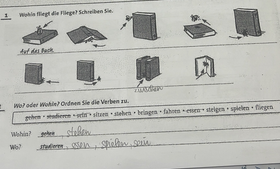 Wohin fliegt die Fliege? Schreiben Sie. 
o 
Auf das Buch. 
_ 
Wo? oder Wohin? Ordnen Sie die Verben zu. 
gehen • studieren • sein • sitzen • stehen •bringen • fahren • essen • steigen • spielen • fliegen 
_ 
Wohin? 
_ 
_ 
Wo?