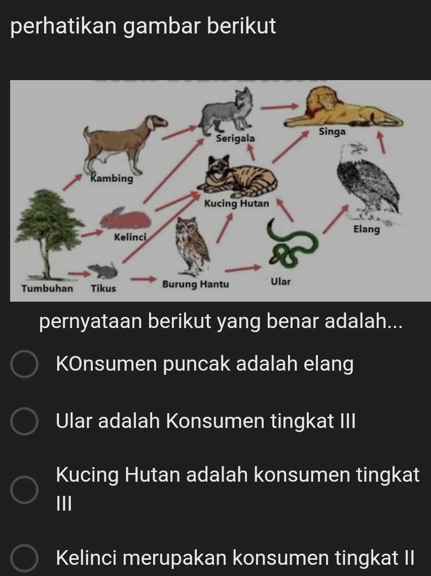 perhatikan gambar berikut
pernyataan berikut yang benar adalah...
KOnsumen puncak adalah elang
Ular adalah Konsumen tingkat III
Kucing Hutan adalah konsumen tingkat
III
Kelinci merupakan konsumen tingkat II