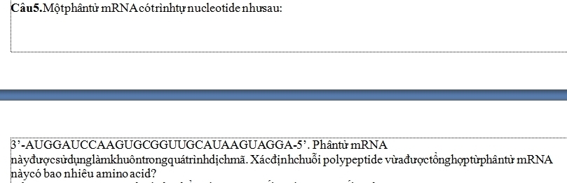 Mộtphântử mRNA cótrìnhtự nucleotide nhưsau:
3' -AUGGAUCCAAGUGCGGUUGCAUAAGUAGGA- 5'. Phântử mRNA 
nàyđượcsửdụnglàmkhuôntrongquátrìnhdịchmã. Xácđịnhchuỗi polypeptide vừađượctồnghợptừphântử mRNA 
nàycó bao nhiêu amino acid?