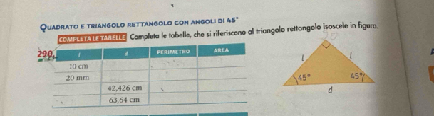 Quadrato e triangolo rettangolo con angoli di 45°
coMPLETALETABELLE Completa le tabelle, che si riferiscono al triangolo rettangolo isoscele in figura.