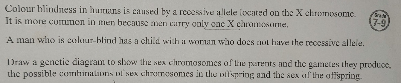 Colour blindness in humans is caused by a recessive allele located on the X chromosome. Grade 
It is more common in men because men carry only one X chromosome. 7-9
A man who is colour-blind has a child with a woman who does not have the recessive allele. 
Draw a genetic diagram to show the sex chromosomes of the parents and the gametes they produce, 
the possible combinations of sex chromosomes in the offspring and the sex of the offspring.