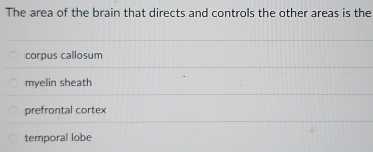 The area of the brain that directs and controls the other areas is the
corpus callosum
myelin sheath
prefrontal cortex
temporal lobe