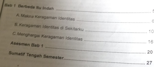 Bab 1 Berbeda itu Indah 
_ 
A. Makna Keragaman Identitas 
_6 
B. Keragaman Identitas di Sekitarku 
_10 
_ 
C. Menghargai Keragaman Identitas 
16 
_ 
Asesmen Bab 1 
20 
_ 
Sumatif Tengah Semester. 
27