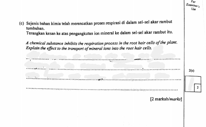 For 
Examiner's 
Use 
(c) Sejenis bahan kimia telah merencatkan proses respirasi di dalam sel-sel akar rambut 
tumbuhan. 
Terangkan kesan ke atas pengangkutan ion mineral ke dalam sel-sel akar rambut itu. 
A chemical substance inhibits the respiration process in the root hair cells of the plant. 
Explain the effect to the transport of mineral ions into the root hair cells. 
__ 
_ 
2(c) 
_ 
_ 
2 
[2 markah/marks]