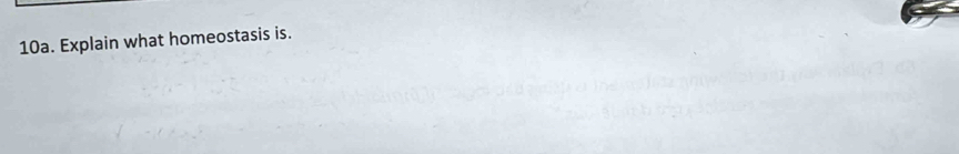 Explain what homeostasis is.