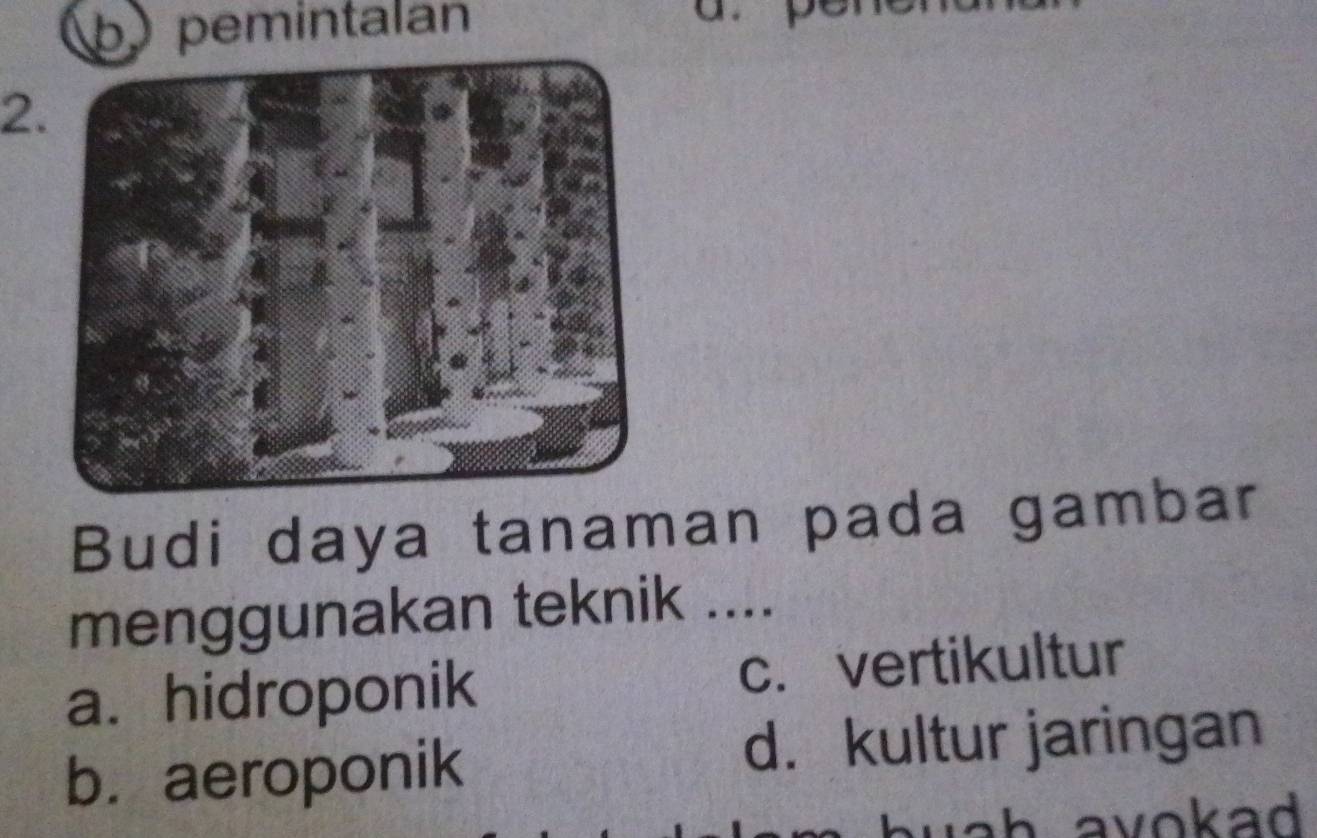 pemintalan
2
Budi daya tanaman pada gambar
menggunakan teknik ....
a. hidroponik c. vertikultur
b. aeroponik d. kultur jaringan
avokad