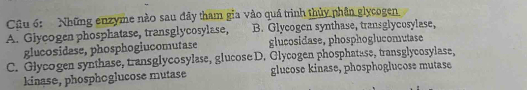 Những enzyme nào sau đây tham gia vào quá trình thủy phân glycogen
A. Glycogen phosphatase, transglycosylase, B. Glycogen synthase, transglycosylase,
glucosidase, phosphogiucomutase glucosidase, phosphoglucomutase
C. Glycogen synthase, transglycosylase, glucose D. Glycogen phosphatase, transglycosylase,
kinase, phosphoglucose mutase glucose kinase, phosphoglucose mutase