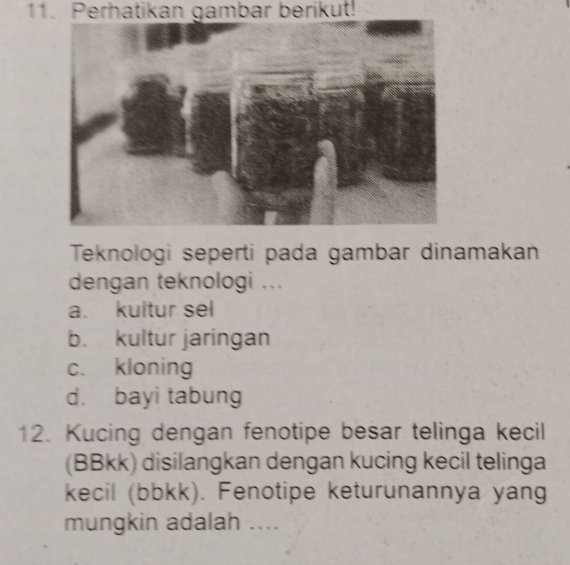 Perhatikan gambar berikut!
Teknologi seperti pada gambar dinamakan
dengan teknologi ...
a. kultur sel
b. kultur jaringan
c. kloning
d. bayi tabung
12. Kucing dengan fenotipe besar telinga kecil
(BBkk) disilangkan dengan kucing kecil telinga
kecil (bbkk). Fenotipe keturunannya yang
mungkin adalah ....