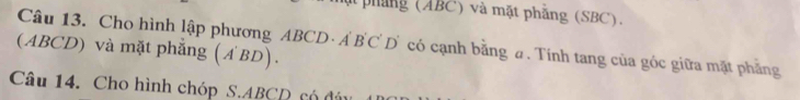 pháng (ABC) và mặt phẳng (SBC). 
(ABCD) và mặt phẳng (A BD). Câu 13. Cho hình lập phương ABCD · Ả B C D có cạnh bằng a. Tính tang của góc giữa mặt phẳng 
Câu 14. Cho hình chóp S. ABCD có đấy