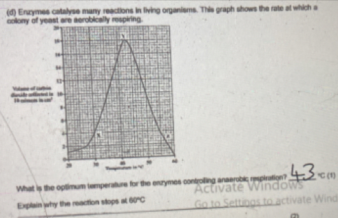 Enzymes catalyse many reactions in fiving organisms. This graph shows the rate at which a 
c are aerobically respiring. 
What is the optimum temperature for the enzymes controiling anaerobic respiration? "C (1) 
Explain why the reaction stops a 60°C Activate 
Go to