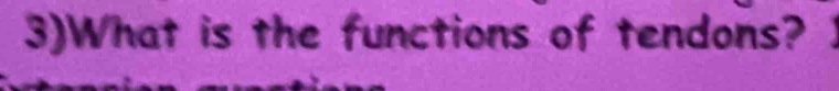 3)What is the functions of tendons?