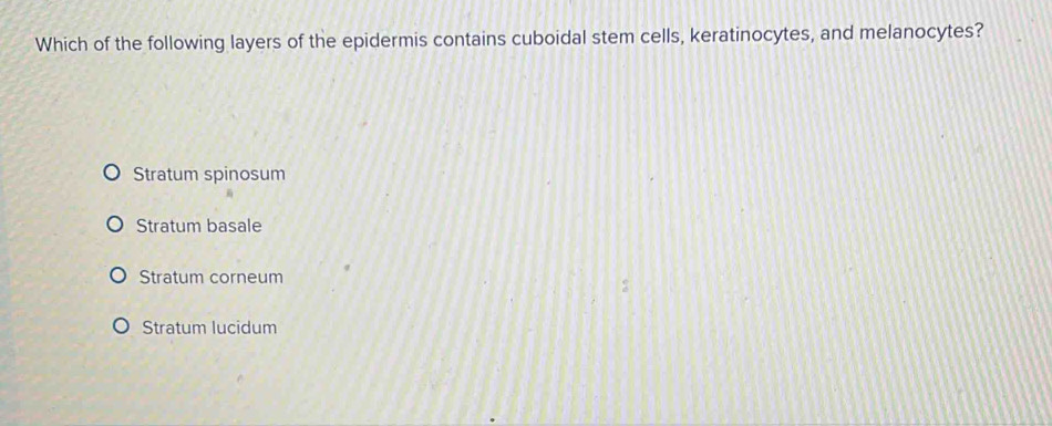 Which of the following layers of the epidermis contains cuboidal stem cells, keratinocytes, and melanocytes?
Stratum spinosum
Stratum basale
Stratum corneum
Stratum lucidum