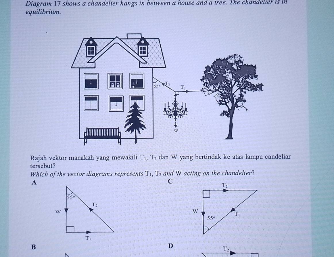 Diagram 17 shows a chandelier hangs in between a house and a tree. The chandelier is in
equilibrium.
Rajah vektor manakah yang mewakili T_1,T_2 dan W yang bertindak ke atas lampu candeliar
tersebut?
Which of the vector diagrams represents T_1,T_2 and W acting on the chandelier?
A
C
B
D
T_2