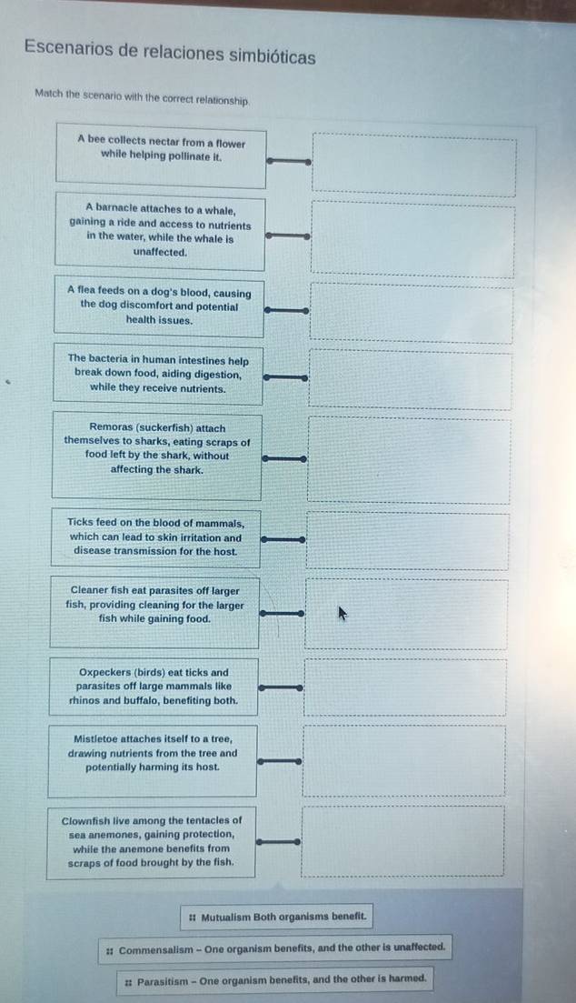 Escenarios de relaciones simbióticas
Match the scenario with the correct relationship
A bee collects nectar from a flower
while helping pollinate it.
A barnacie attaches to a whale,
gaining a ride and access to nutrients
in the water, while the whale is
unaffected.
A flea feeds on a dog's blood, causing
the dog discomfort and potential
health issues.
The bacteria in human intestines help
break down food, aiding digestion,
while they receive nutrients.
Remoras (suckerfish) attach
themselves to sharks, eating scraps of
food left by the shark, without
affecting the shark.
Ticks feed on the blood of mammals,
which can lead to skin irritation and
disease transmission for the host.
Cleaner fish eat parasites off larger
fish, providing cleaning for the larger
fish while gaining food.
Oxpeckers (birds) eat ticks and
parasites off large mammals like
rhinos and buffalo, benefiting both.
Mistletoe attaches itself to a tree,
drawing nutrients from the tree and
potentially harming its host.
Clownfish live among the tentacles of
sea anemones, gaining protection,
while the anemone benefits from
scraps of food brought by the fish.
: Mutualism Both organisms benefit.
:: Commensalism - One organism benefits, and the other is unaffected.
:: Parasitism - One organism benefits, and the other is harmed.