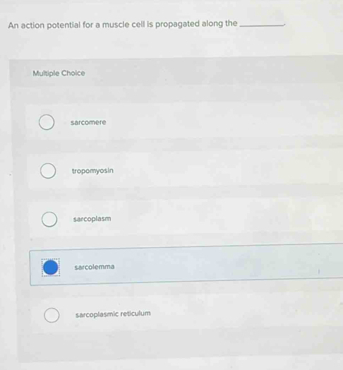 An action potential for a muscle cell is propagated along the _.
Multiple Choice
sarcomere
tropomyosin
sarcoplasm
sarcolemma
sarcoplasmic reticulum