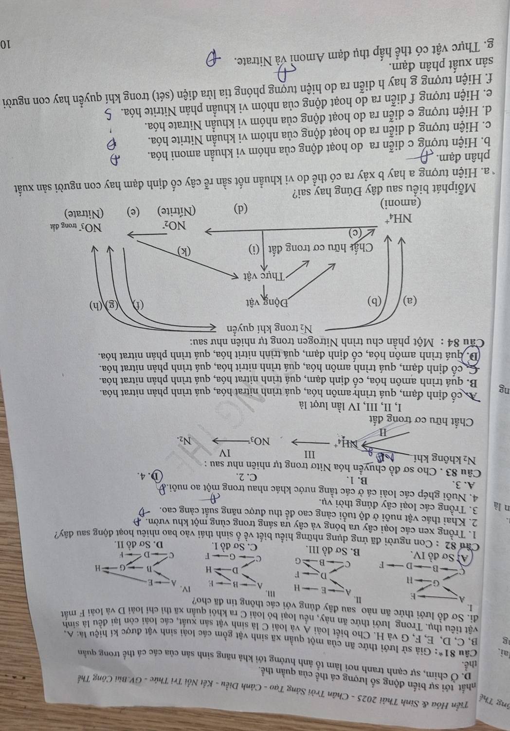 6ng Thế
Tiển Hóa & Sinh Thải 2025 - Chân Trời Sảng Tạo - Cảnh Diều - Kết Nổi Tri Thức - GV.Bùi Công Thế
thất tới sự biến động số lượng cá thể của quần thể.
thể.
D. Ở chim, sự cạnh tranh nơi làm tổ ảnh hưởng tới khả năng sinh sản của các cá thể trong quần
ai. Câu 81^(ast) : Giả sử lưới thức ăn của một quần xã sinh vật gồm các loài sinh vật được kí hiệu là: A,
g B, C, D, E, F, G và H. Cho biết loài A và loài C là sinh vật sản xuất, các loài còn lại đều là sinh
vật tiêu thụ. Trong lưới thức ăn này, nếu loại bỏ loài C ra khỏi quần xã thì chỉ loài D và loài F mất
đi. Sơ đồ lưới thức ăn nào sau đây đủng với các thông tin đã cho?
1.
A E I.
A: E —— H m.
G: -1
-B — E IV.
A - E
D、 F D H
B G H
B D F C B G C G F
-D - F
Ai Sơ đồ IV. B. Sơ đồ III. C. Sơ đồ I. D. Sơ đồ II.
Cầu 82 : Con người đã ứng dụng những hiểu biết về ô sinh thái vào bao nhiêu hoạt động sau dây?
1. Trồng xen các loại cây ưa bóng và cây ưa sáng trong cùng một khu vườn. Đ
2. Khai thác vật nuồi ở độ tuổi cảng cao để thu được năng suất càng cao.
n là  3. Trồng các loại cây đúng thời vụ.
4. Nuôi ghép các loài cá ở các tầng nước khác nhau trong một ao nuôi.a
A. 3. B. 1.
C. 2. D. 4.
Câu 83 . Cho sơ đồ chuyển hóa Nitơ trong tự nhiên như sau :
N_2 không khí a III
IV
NH4 NO3 N2.
H
Chất hữu cơ trong đất
I, II, III, IV lần lượt là
ng As cổ định đạm, quá trình amôn hóa, quá trình nitrat hóa, quá trình phản nitrat hóa.
B. quá trình amôn hóa, cố định đạm, quá trình nitrat hóa, quá trình phản nitrat hóa.
C cổ định đạm, quá trình amôn hóa, quá trình nitrit hóa, quá trình phản nitrat hóa.
D. quá trình amôn hóa, cố định đạm, quá trình nitrit hóa, quá trình phản nitrat hóa.
Câu 84 : Một phần chu trình Nitrogen trong tự nhiên như sau:
Mỗiphát biểu sau đây Đúng hay sai?
* a. Hiện tượng a hay b xảy ra có thể do vi khuần nốt sần rễ cây cố định đạm hay con người sản xuất
phân đạm.
b. Hiện tượng c diễn ra do hoạt động của nhóm vi khuẩn amoni hóa.
c. Hiện tượng d diễn ra do hoạt động của nhóm vi khuẩn Nitrite hóa.
d. Hiện tượng e diễn ra do hoạt động của nhóm vi khuẩn Nitrate hóa.
e. Hiện tượng f diễn ra do hoạt động của nhóm vi khuẩn phản Nitrite hóa.
f. Hiện tượng g hay h diễn ra do hiện tượng phóng tia lửa điện (sét) trong khí quyển hay con người
sản xuất phân đạm.
g. Thực vật có thể hấp thụ đạm Amoni và Nitrate.
10