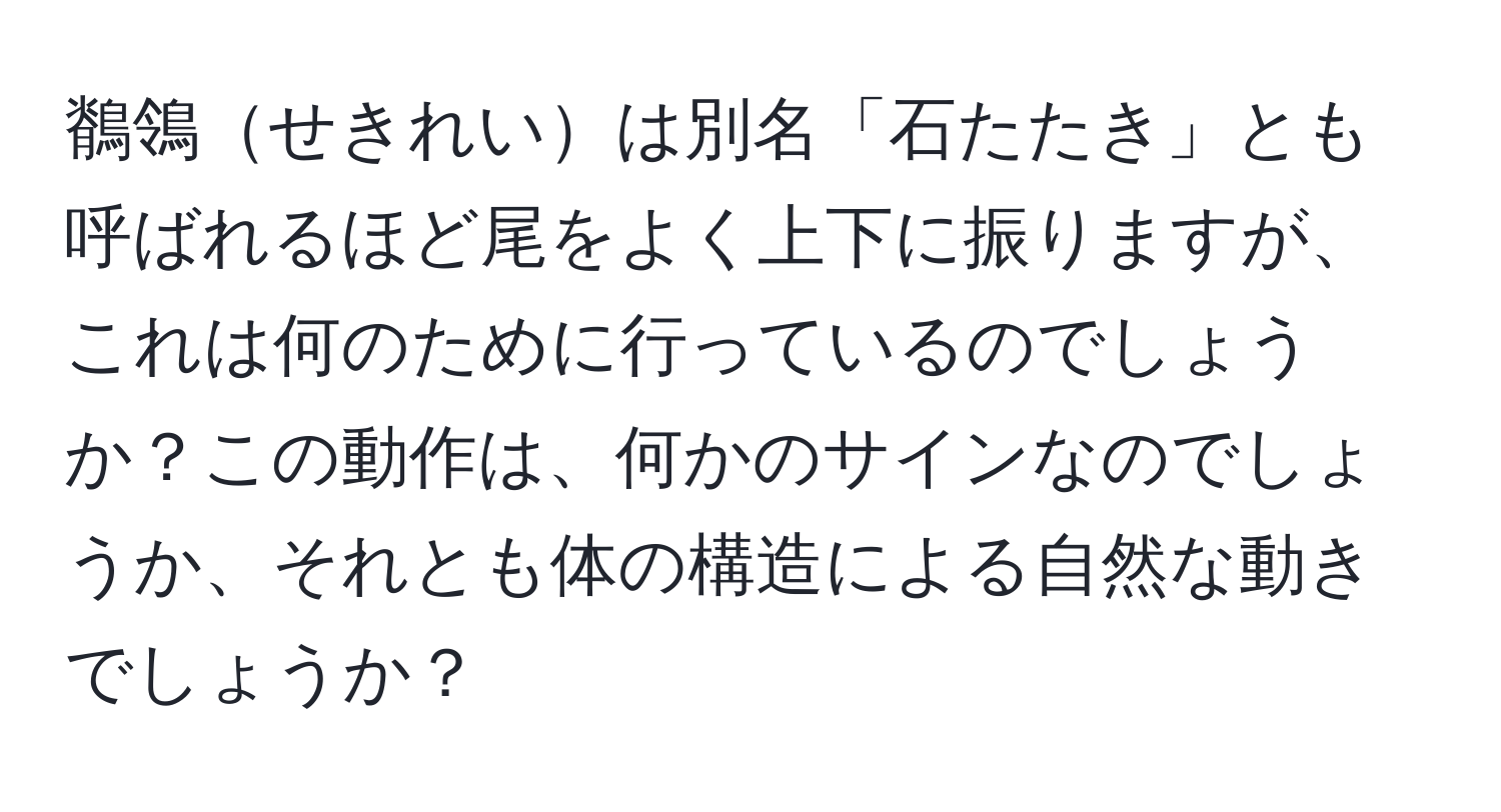 鶺鴒せきれいは別名「石たたき」とも呼ばれるほど尾をよく上下に振りますが、これは何のために行っているのでしょうか？この動作は、何かのサインなのでしょうか、それとも体の構造による自然な動きでしょうか？