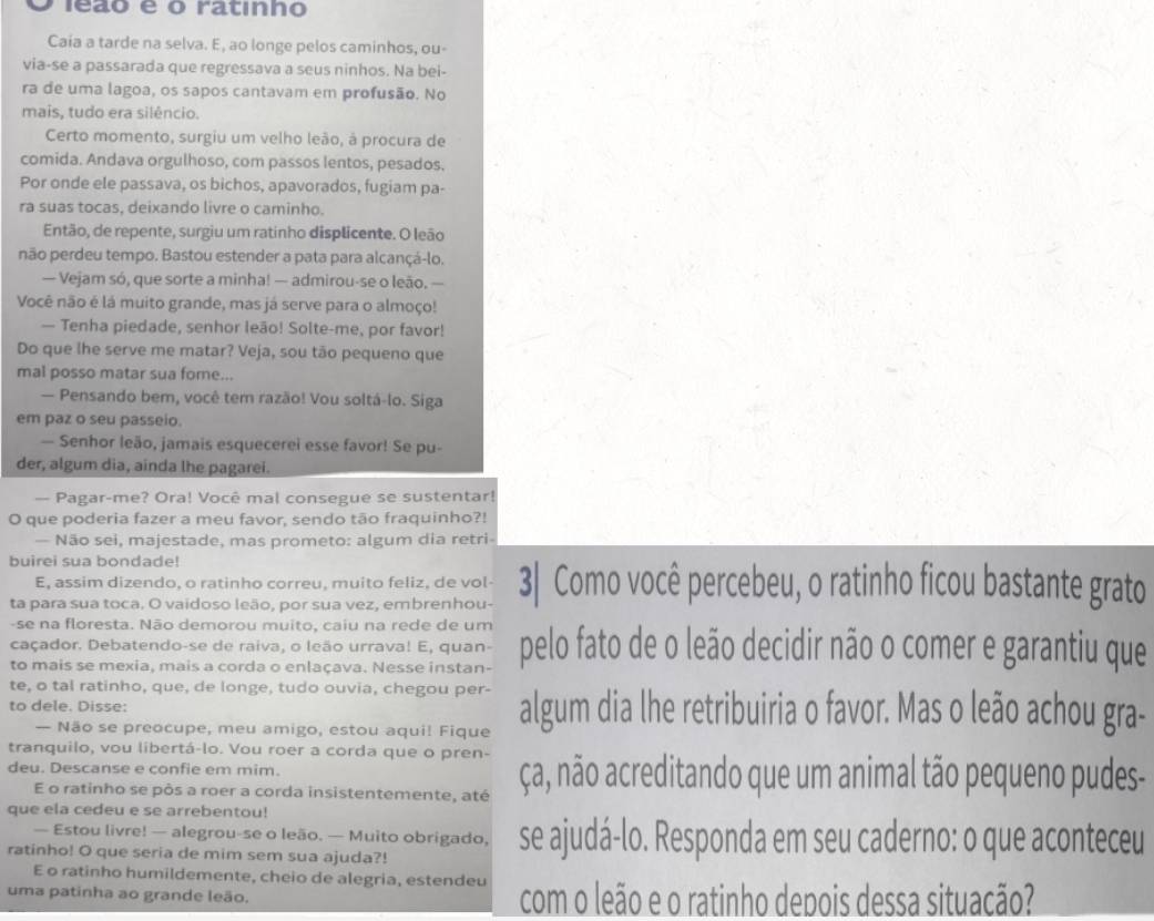 leão é o ratinno
Caía a tarde na selva. E, ao longe pelos caminhos, ou-
via-se a passarada que regressava a seus ninhos. Na bei-
ra de uma lagoa, os sapos cantavam em profusão. No
mais, tudo era silêncio.
Certo momento, surgiu um velho leão, à procura de
comida. Andava orgulhoso, com passos lentos, pesados.
Por onde ele passava, os bichos, apavorados, fugiam pa-
ra suas tocas, deixando livre o caminho.
Então, de repente, surgiu um ratinho displicente. O leão
não perdeu tempo. Bastou estender a pata para alcançá-lo.
— Vejam só, que sorte a minha! — admirou-se o leão. —
Você não é lá muito grande, mas já serve para o almoço!
— Tenha piedade, senhor leão! Solte-me, por favor!
Do que lhe serve me matar? Veja, sou tão pequeno que
mal posso matar sua fore...
— Pensando bem, você tem razão! Vou soltá-lo. Siga
em paz o seu passeio.
— Senhor leão, jamais esquecerei esse favor! Se pu-
der, algum dia, ainda lhe pagarei.
— Pagar-me? Ora! Você mal consegue se sustentar!
O que poderia fazer a meu favor, sendo tão fraquinho?!
— Não sei, majestade, mas prometo: algum dia retri-
buirei sua bondade!
E, assim dizendo, o ratinho correu, muito feliz, de vol-
ta para sua toca. O vaidoso leão, por sua vez, embrenhou- 3| Como você percebeu, o ratinho ficou bastante grato
-se na floresta. Não demorou muito, caiu na rede de um pelo fato de o leão decidir não o comer e garantiu que
caçador. Debatendo-se de raiva, o leão urrava! E, quan-
to mais se mexia, mais a corda o enlaçava. Nesse instan-
te, o tal ratinho, que, de longe, tudo ouvia, chegou per-
to dele. Disse: algum dia lhe retribuiria o favor. Mas o leão achou gra-
— Não se preocupe, meu amigo, estou aqui! Fique
tranquilo, vou libertá-lo. Vou roer a corda que o pren-
deu. Descanse e confie em mim. ça, não acreditando que um animal tão pequeno pudes-
E o ratinho se pôs a roer a corda insistentemente, até
que ela cedeu e se arrebentou!
— Estou livre! — alegrou-se o leão. — Muito obrigado, se ajudá-lo. Responda em seu caderno: o que aconteceu
ratinho! O que seria de mim sem sua ajuda?!
E o ratinho humildemente, cheio de alegria, estendeu
uma patinha ao grande leão. com o leão e o ratinho depois dessa situacão?